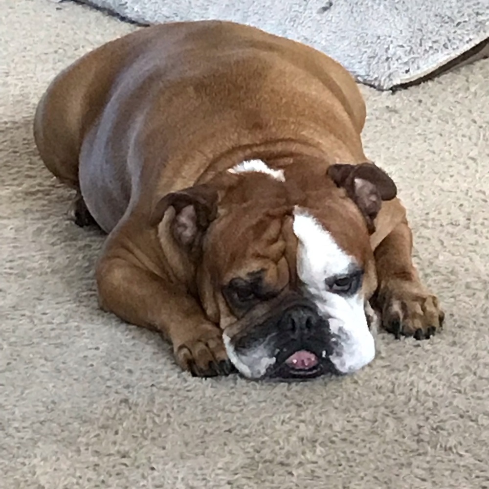 Meet your Posher, Brande